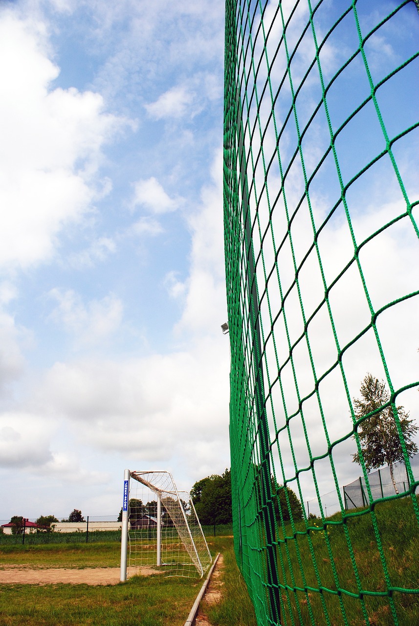 对于若日尼 对于若日尼