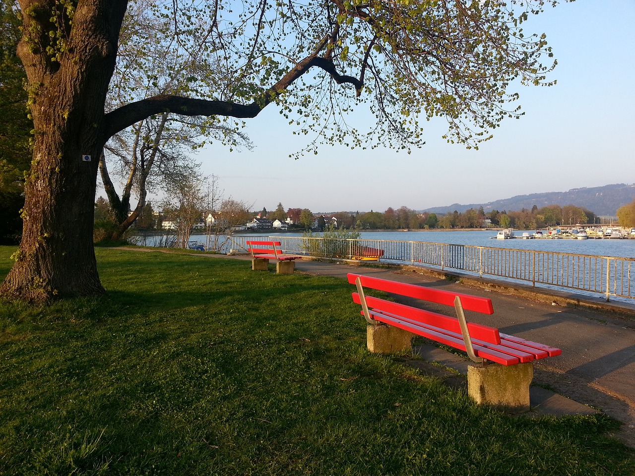 斯职业生涯 斯职业生涯