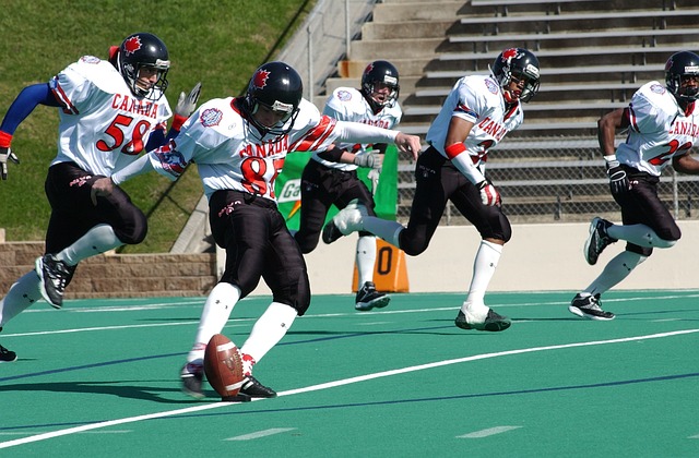 似乎已经成 似乎已经成