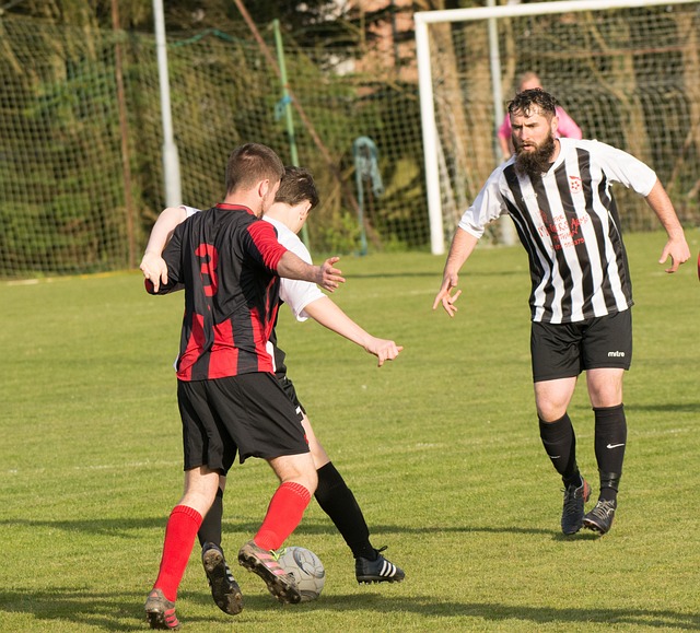 仍对其恢复 仍对其恢复