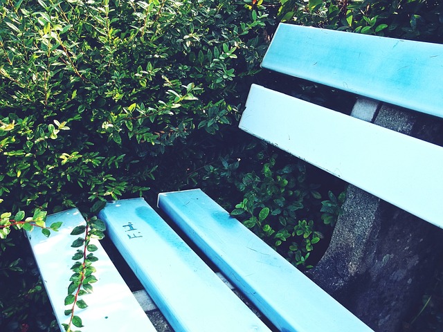 胜利重新宣 胜利重新宣