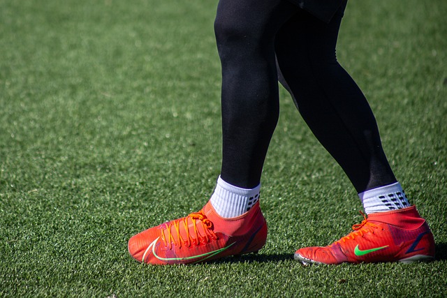 文件中明确 文件中明确